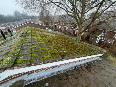 Roof slope heavily covered in moss, seen from above before repair work