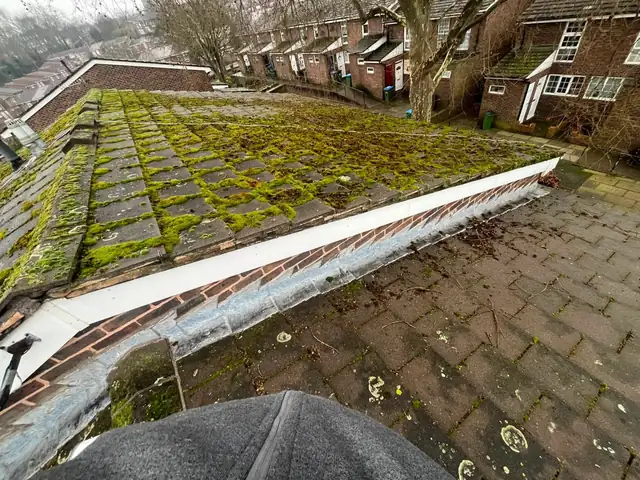 Tiled roof slope thickly covered in green moss, above a row of brick terraced houses