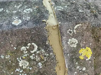 Ridge tile joint freshly repointed with new mortar