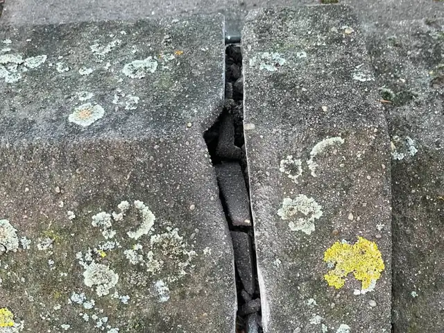 Ridge tile joint split wide open, with the old mortar crumbled away and lichen on the tiles